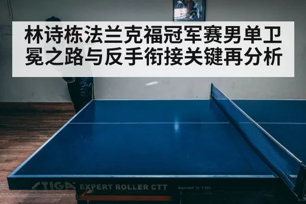 林诗栋法兰克福冠军赛男单卫冕之路与反手衔接关键再分析