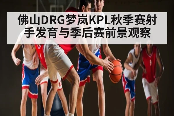 佛山DRG梦岚KPL秋季赛射手发育与季后赛前景观察